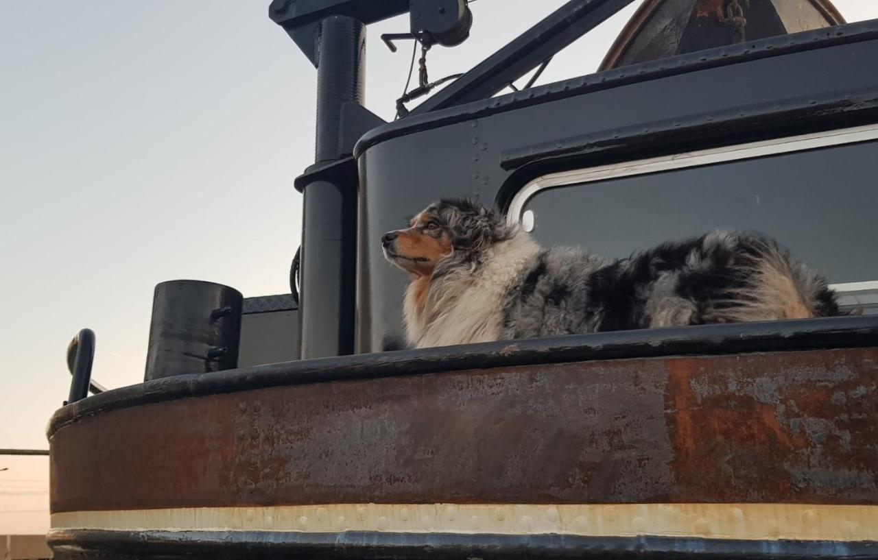 ホテル Euphrate Houseboat アムステルダム エクステリア 写真